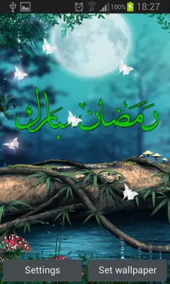 beauty ramadan LiveWallpaper android App screenshot 0